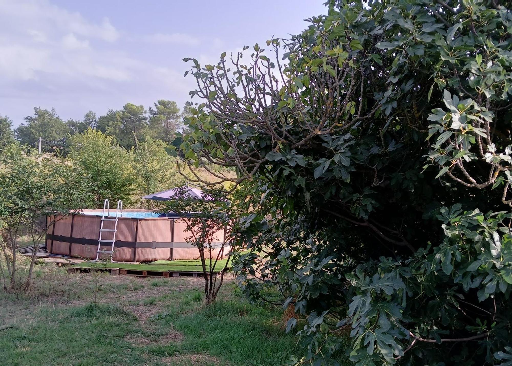Villa Des Arnoux Dans La Vigne Draguignan Zewnętrze zdjęcie